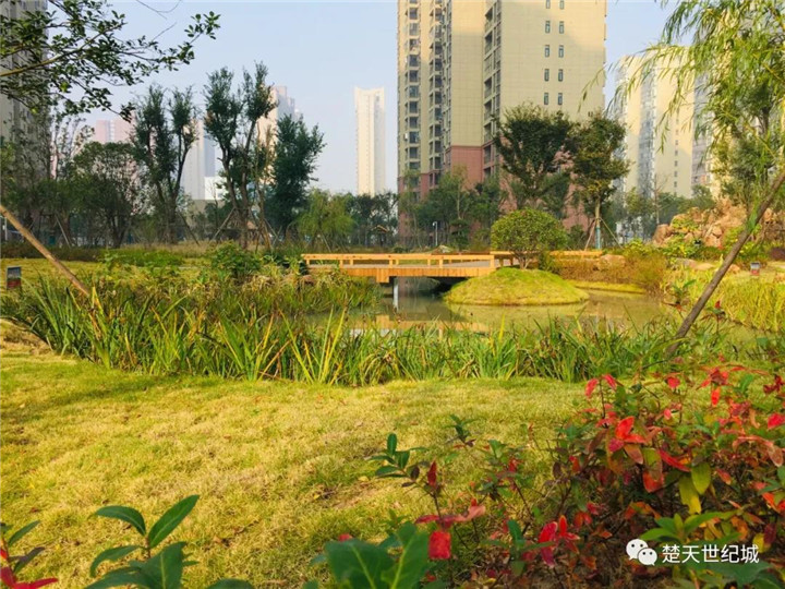 房贷放松了，无需观望，来楚天世纪城就对了！