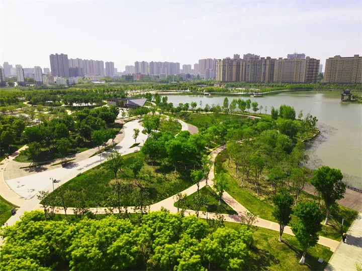 楚天墅苑丨茶、自然、院子，每一日皆是雅致生活