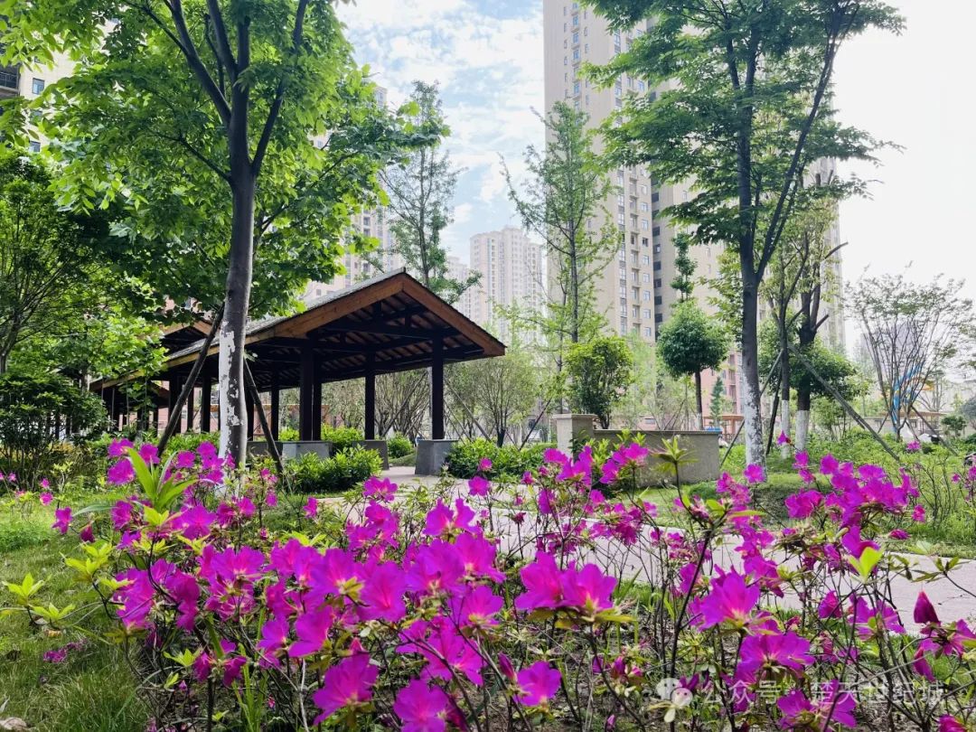 好房子的底气：好区位、好景观、好产品