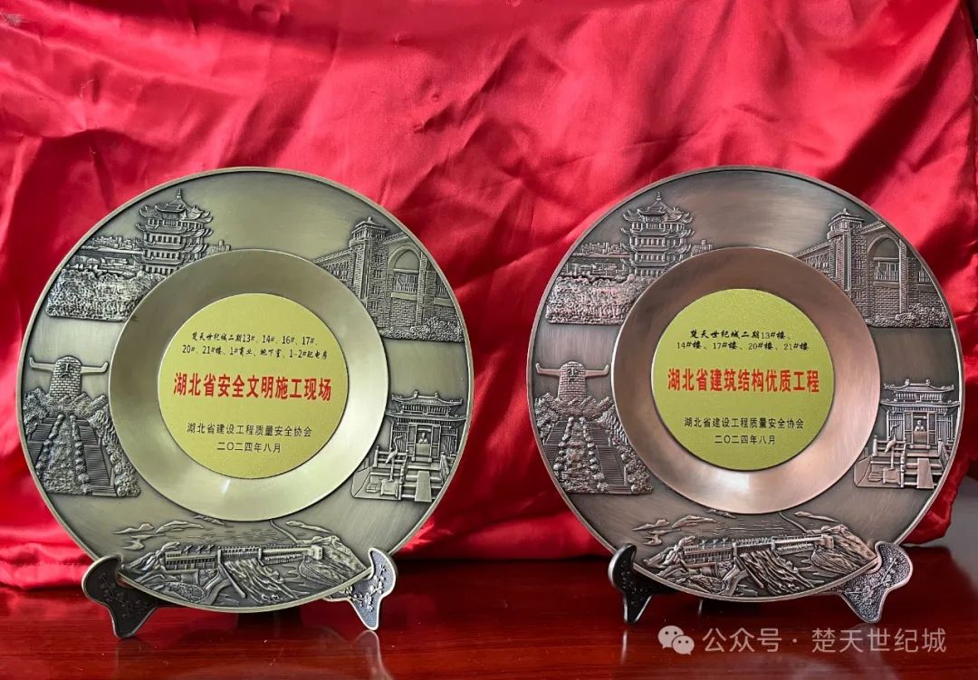 楚天世纪城项目品牌特色鲜明，吸引众多购房客户