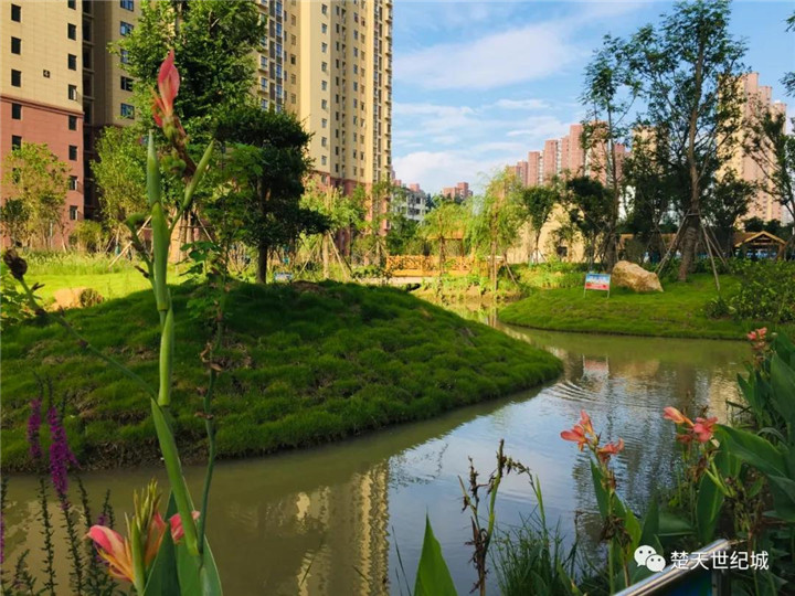 楚天世纪城：这里，来了不想走的地方