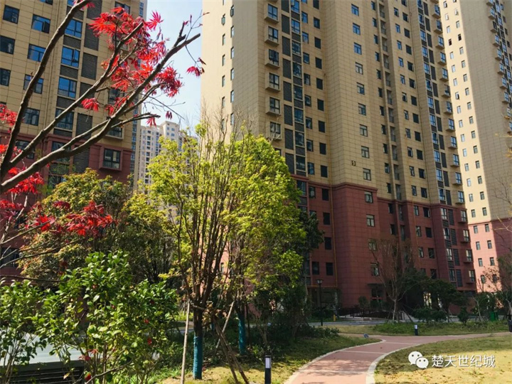 这个小区，拿到了“广厦奖”！