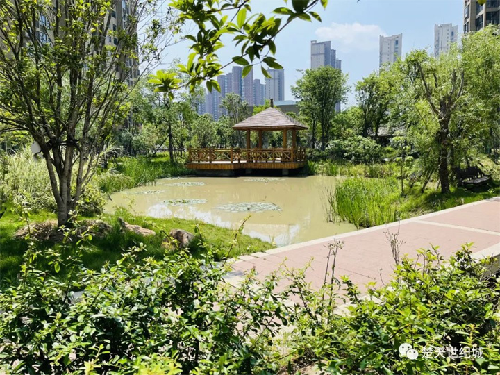 楚天世纪城：趁此良辰，相约佳处