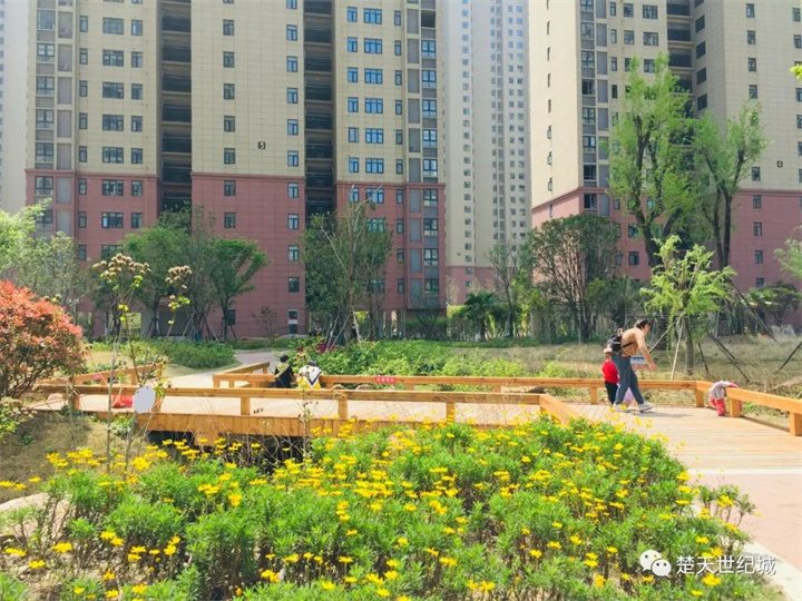 欢迎教育界及各界人士入住楚天世纪城品质小区