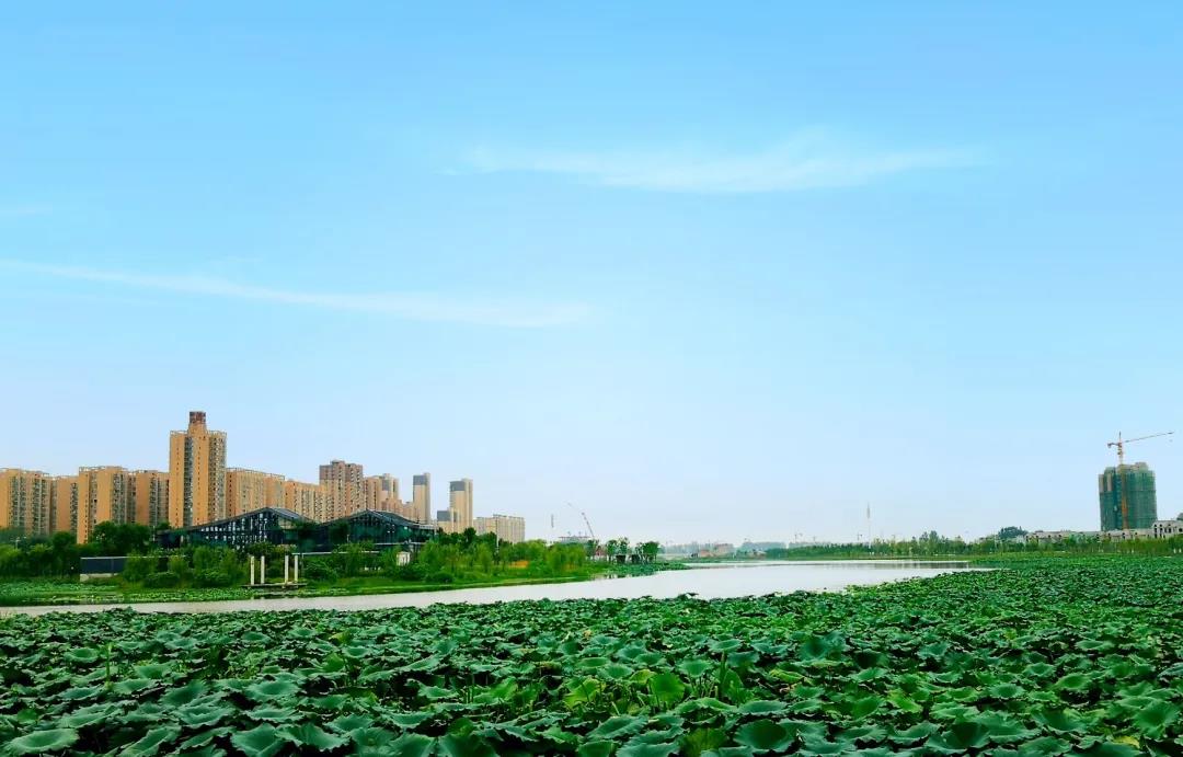 天门这里品牌扎堆，刚需、改善全部出动！