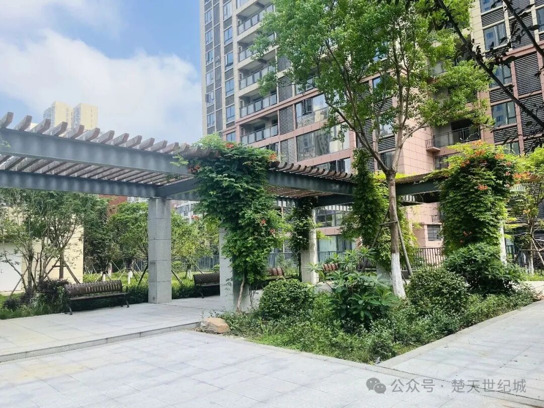 楚天世纪城：住在这里，日子舒服而柔软