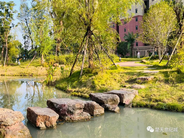 楚天世纪城二期西区即将开盘：城市中的绿色明珠