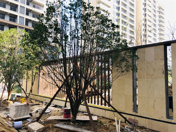 碧水园·锦城园林景观也在速度呈现中…