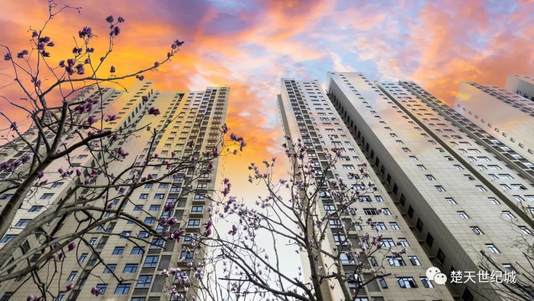 楚天世纪城：精雕细刻，千锤百炼，只愿与您共享共赏！