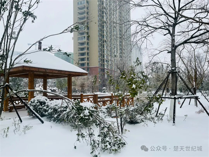 这雪景，彻底惊艳了挑剔的目光！