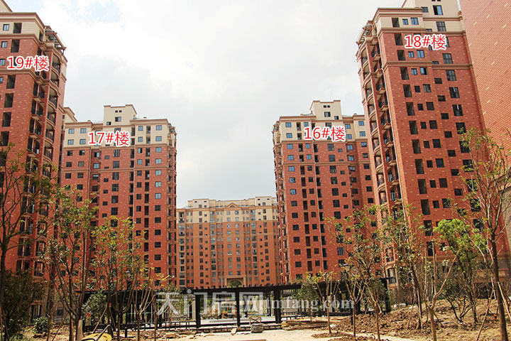 华泰学府春天7月工程进度