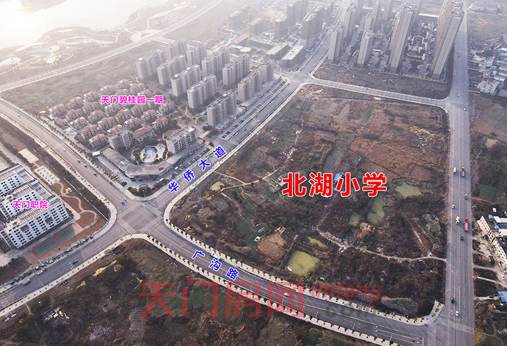 爆发！天门热门板块再迎教育利好！