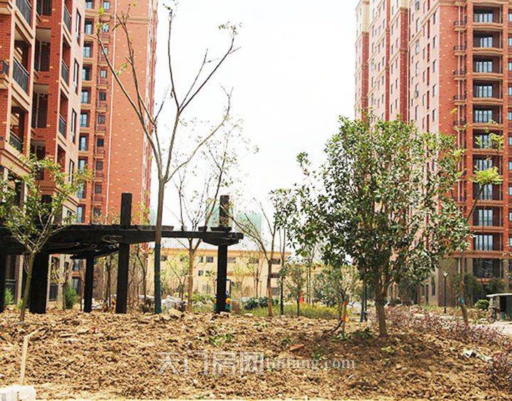 华泰学府春天7月工程进度