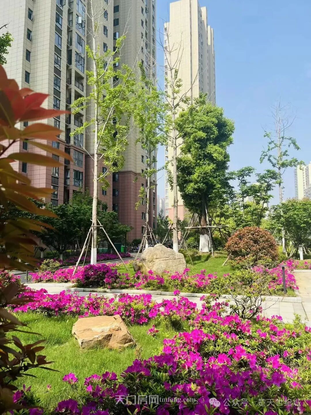 来自楚天世纪城的情书：愿你遇见幸福，有梦可追，有爱相依