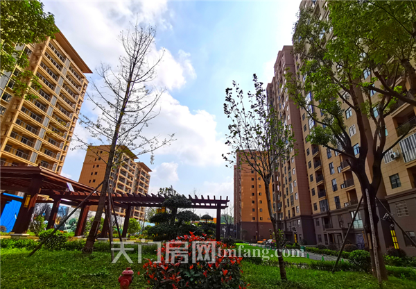 @天门人，三室舒居，入住华泰雅苑的契机！