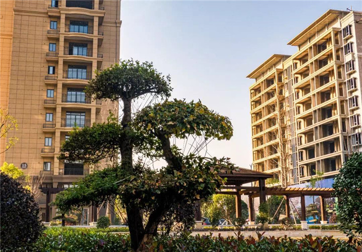 走进业主，带你解读华泰雅苑为何屡创热售？