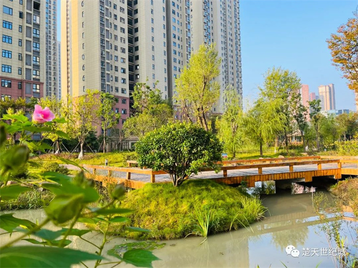 揽一城风花雪月，心向星辰大海