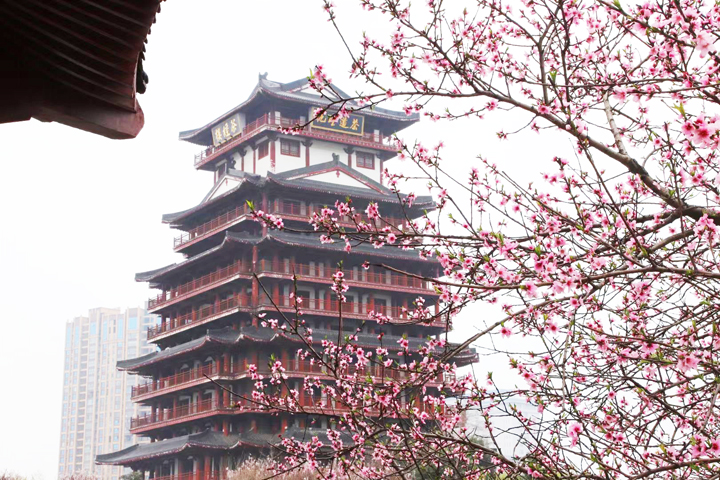 西湖新天地丨阳春三月家书至，万般美好皆可期