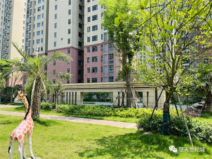 楚天世纪城“习酒金钻杯”天门市象棋大赛将于7月15日开锣