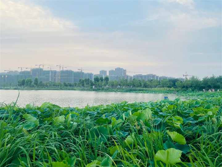 楚天墅苑 | 人生进界至此阔，圈层荣耀一墅藏