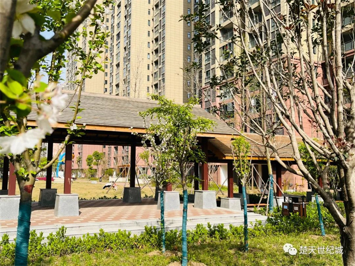 刘老三要接菇凉了！满处都冒搞成的