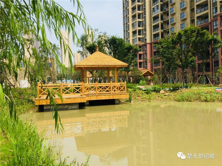 “楚天世纪城杯”中小学生有奖摄影大赛活动开锣了！