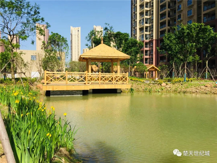 推窗东湖，下楼万达，在此珍藏烟月竟陵