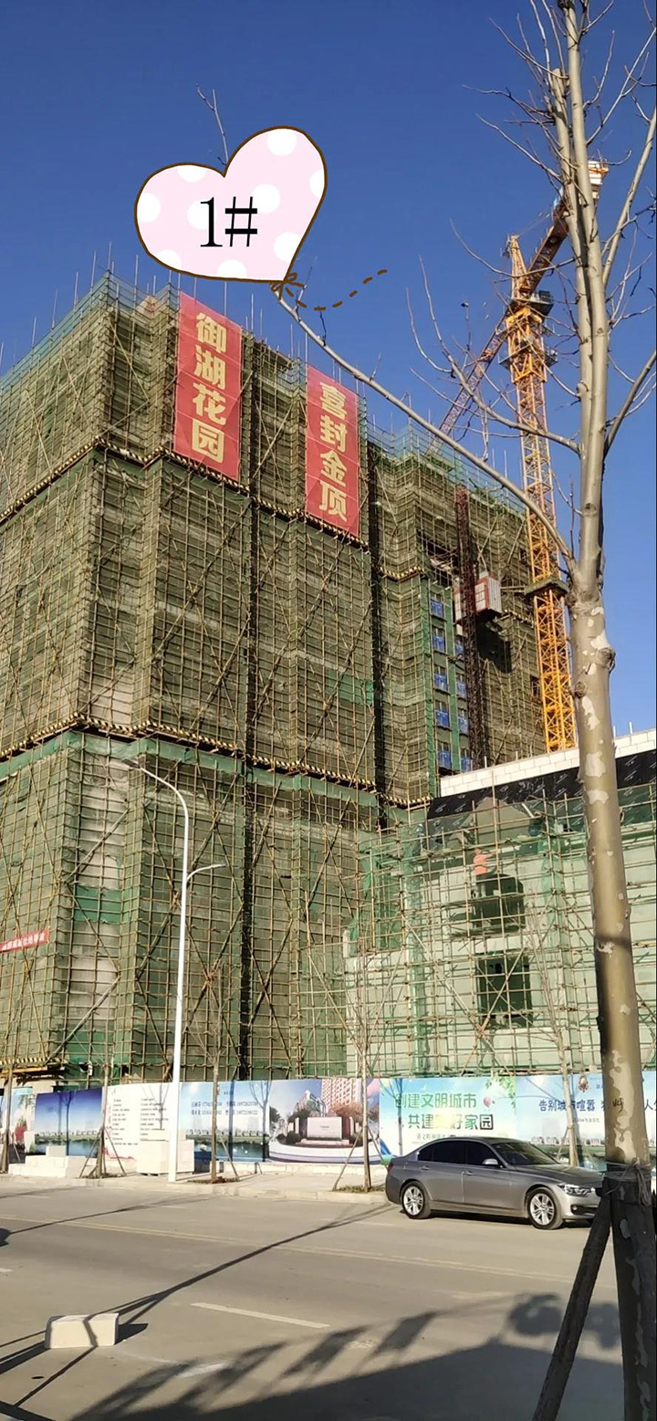 御湖花园1月工程进度：春风将绿江南岸