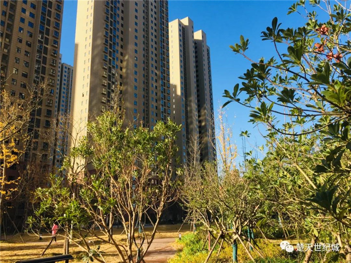 楚天世纪城，链接美好生活