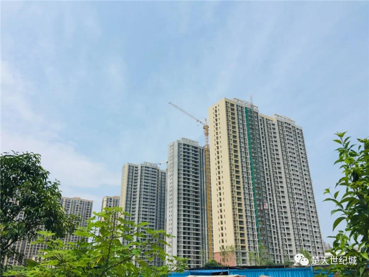 楚天世纪城6月工程进度：幼儿园已完工