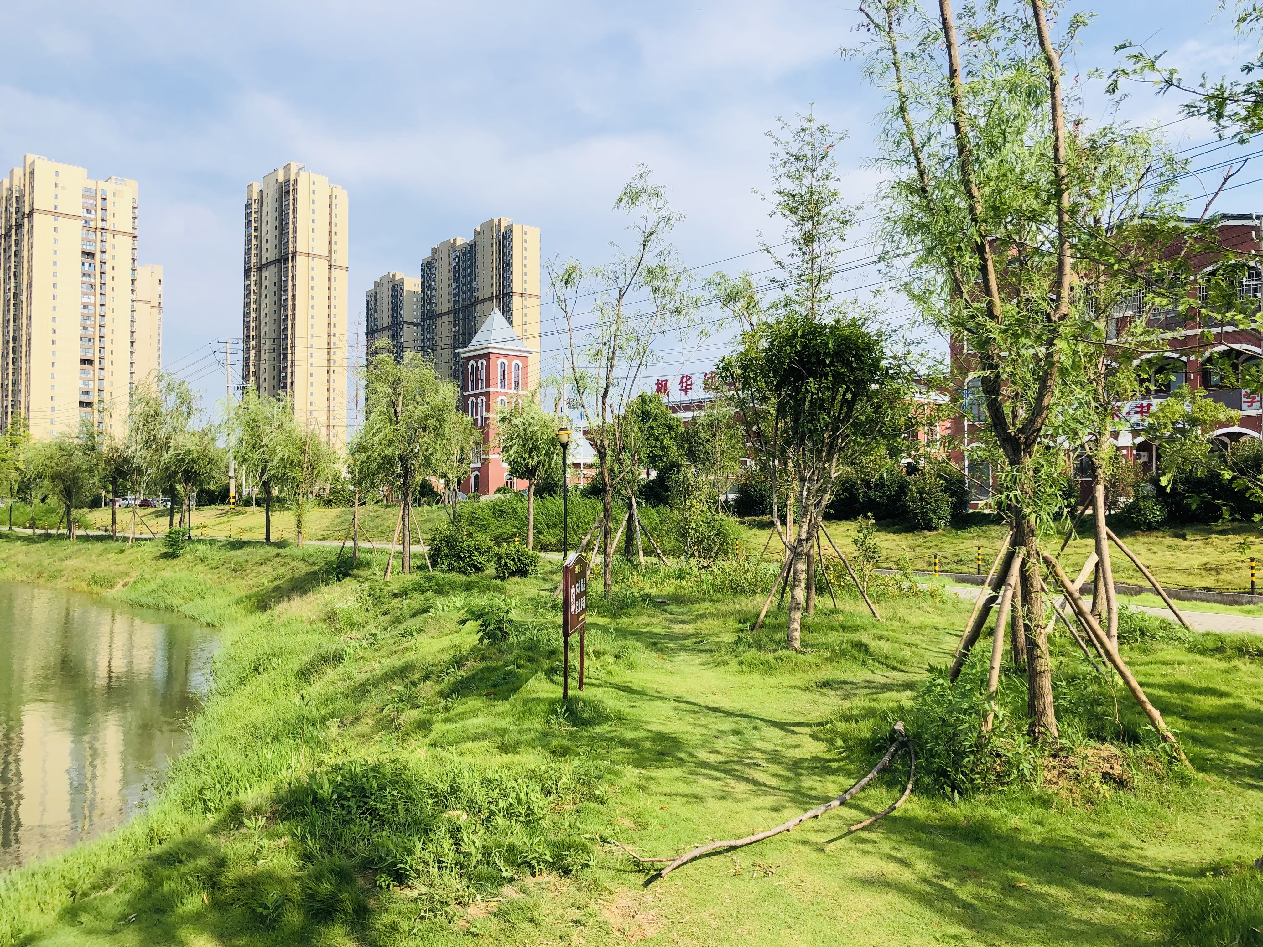 碧水园·锦城 | 居繁华城芯，邂逅24小时精致生活