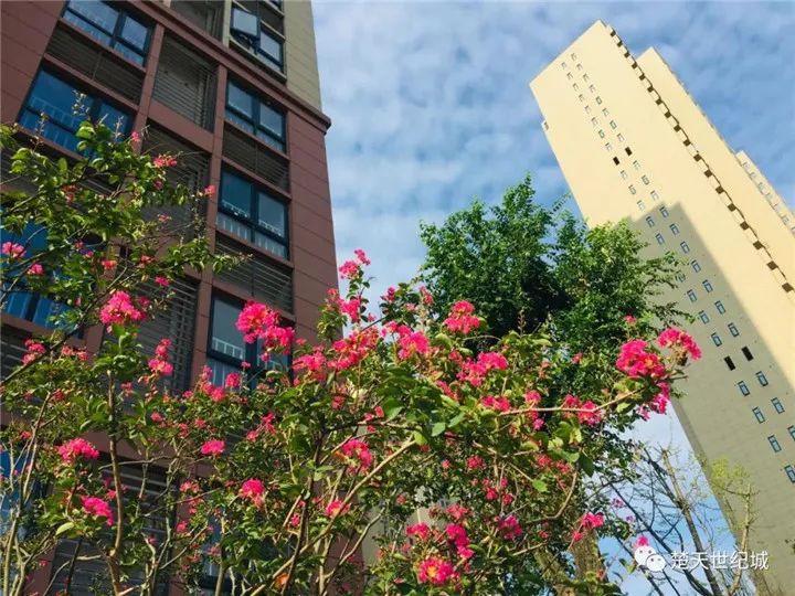 2023置业楚天世纪城，品质实景现房助您前“兔”似锦