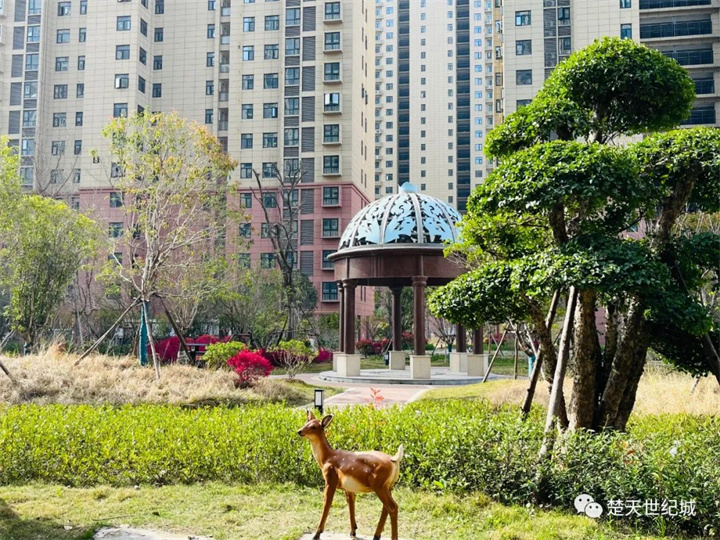 卓越的产品本色，蕴藏品质的生活场景（附户型图）