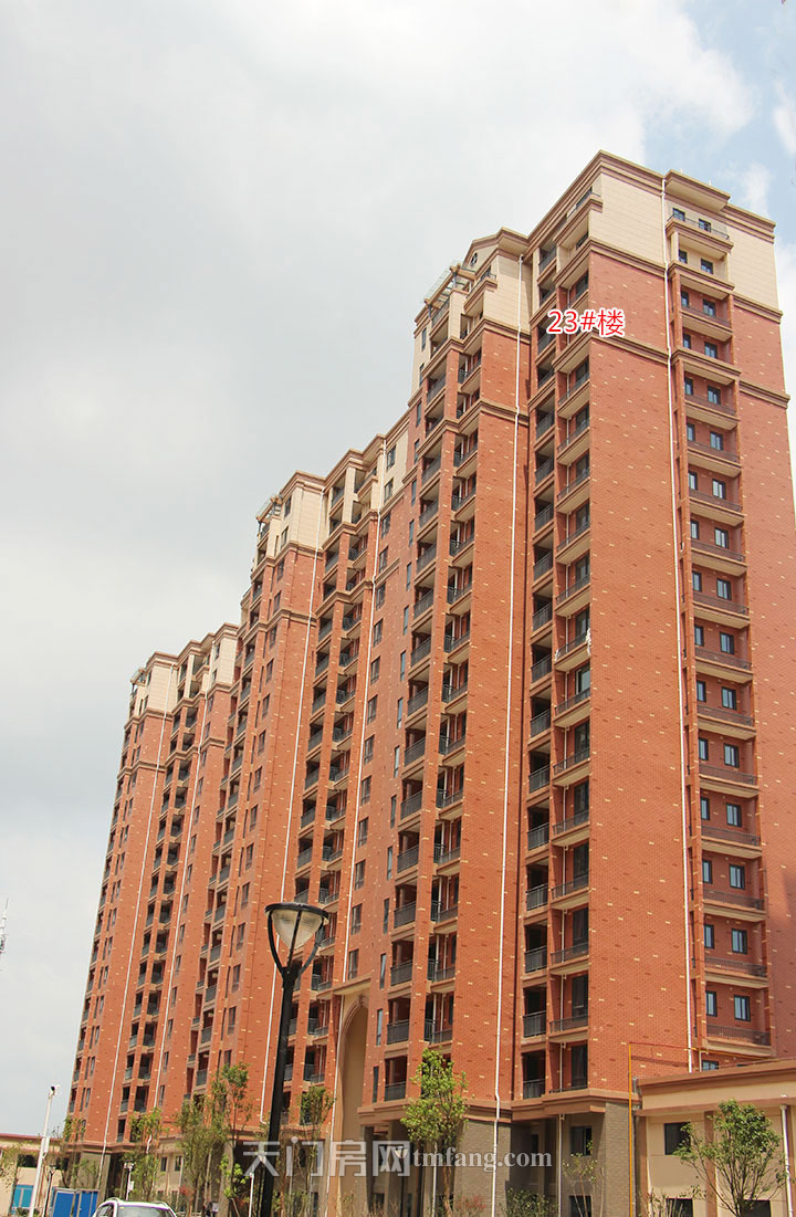 华泰学府春天7月工程进度