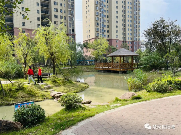 楚天世纪城开发企业连续五年捐款助力乡村振兴