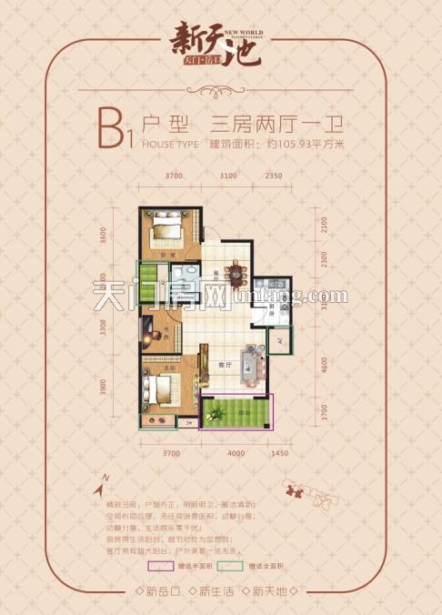 岳口·新天地B1户型