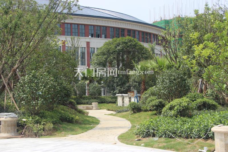 华茂阳光城项目实景图