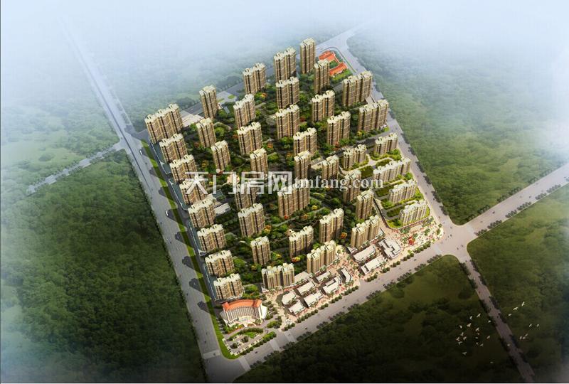 天门·卓尔生活城鸟瞰图