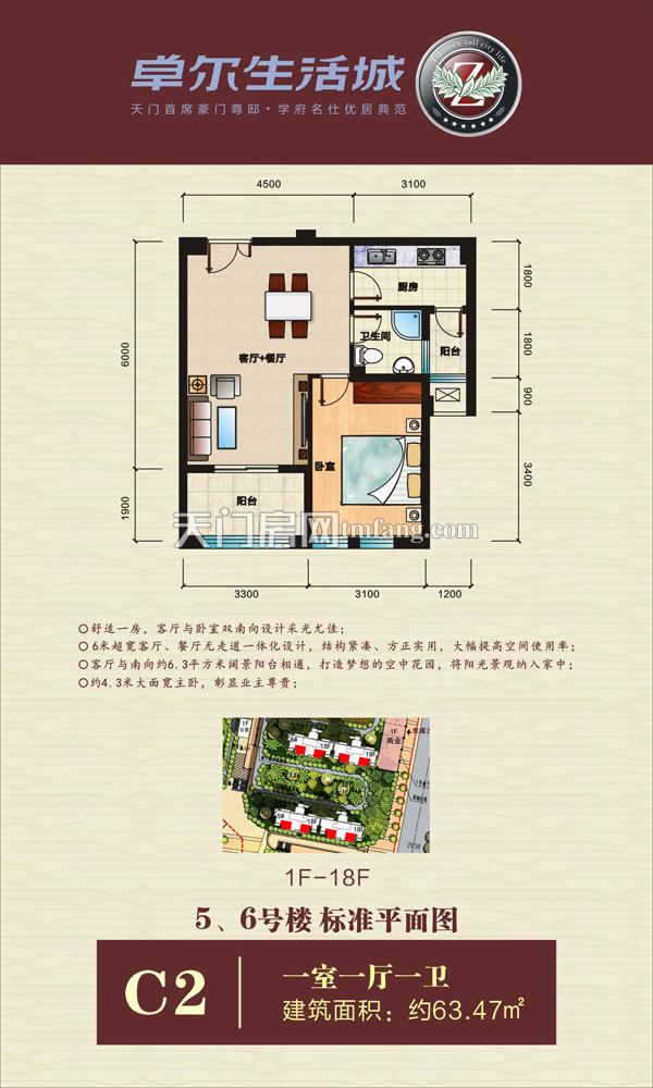 天门·卓尔生活城C2户型