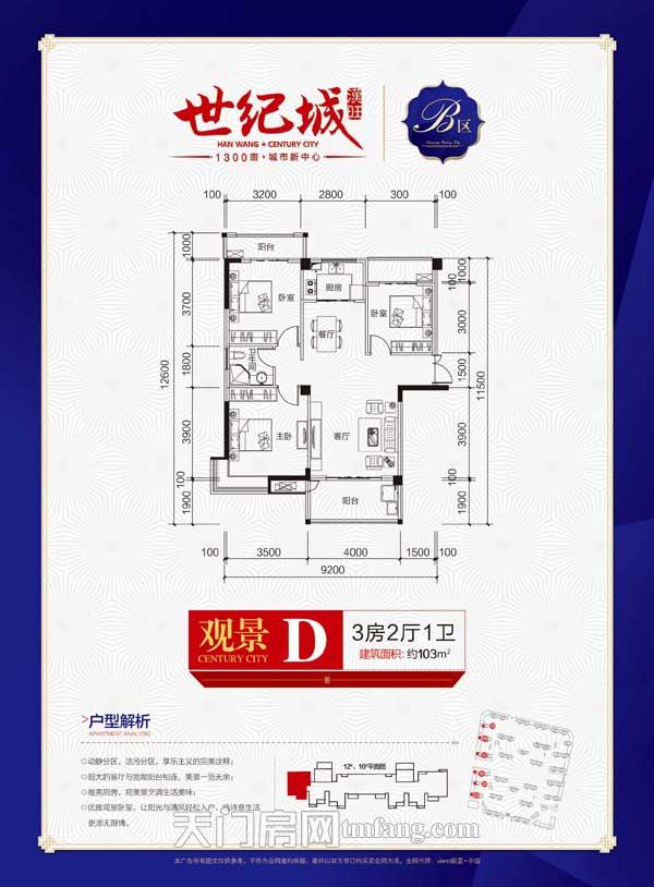 汉旺·世纪城D户型