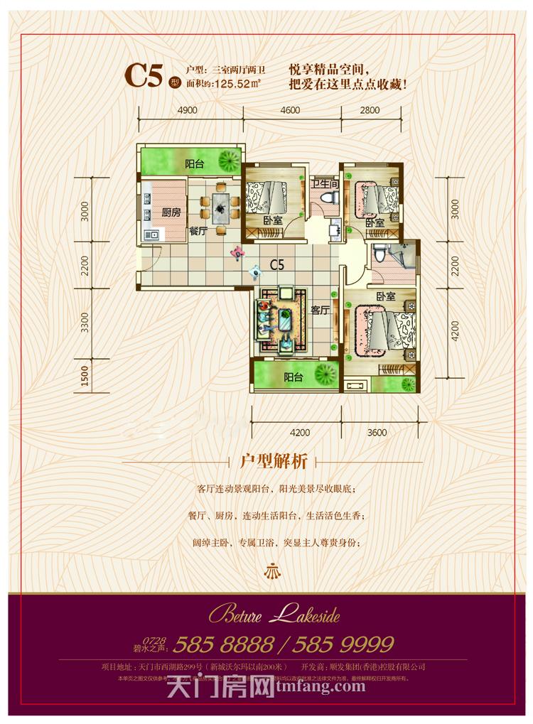 碧水园--C栋B5户型
