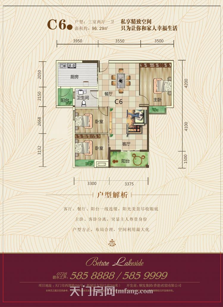 碧水园C栋B6户型