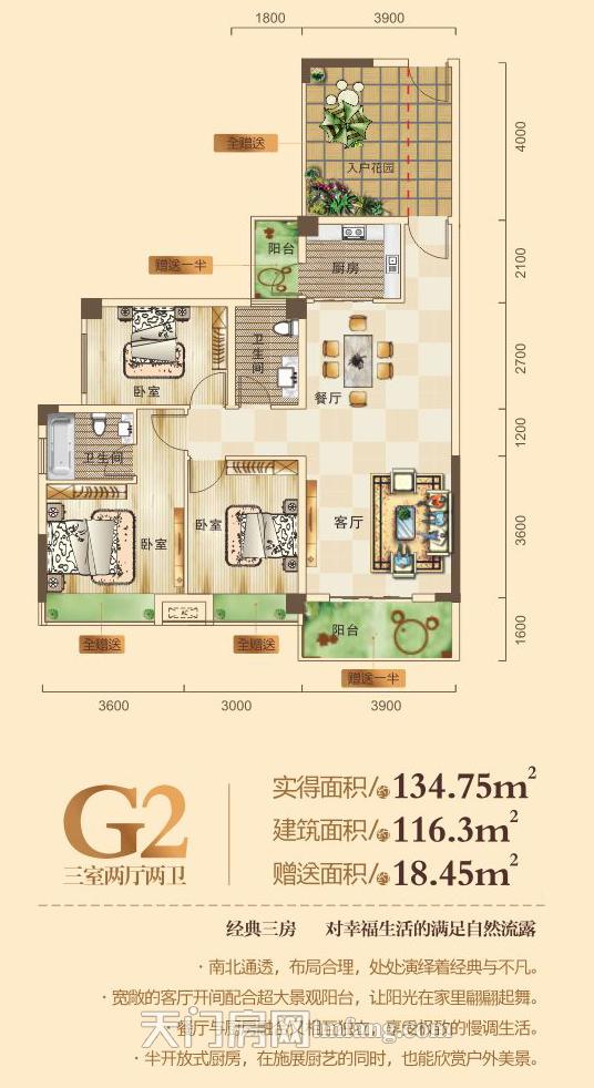 碧水园--G栋G2户型