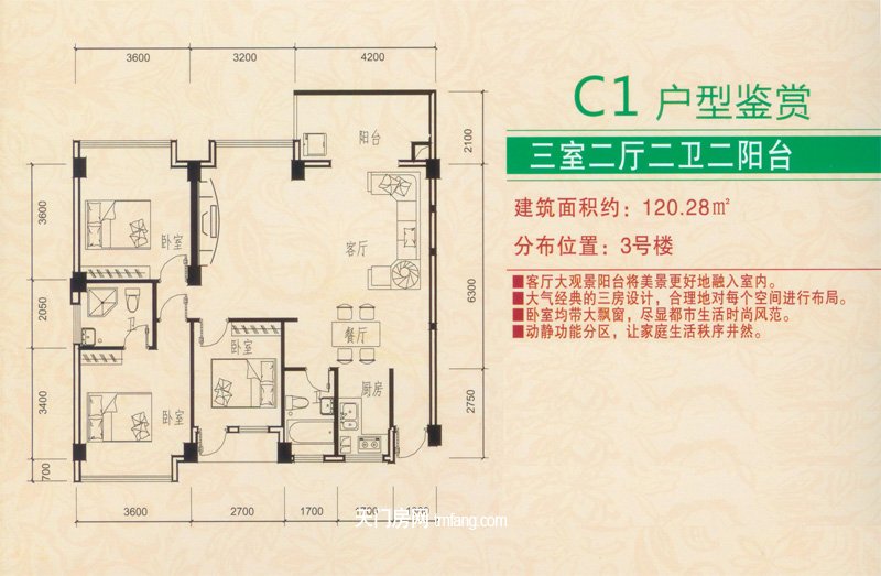 仁信·南洋星城C1户型鉴赏