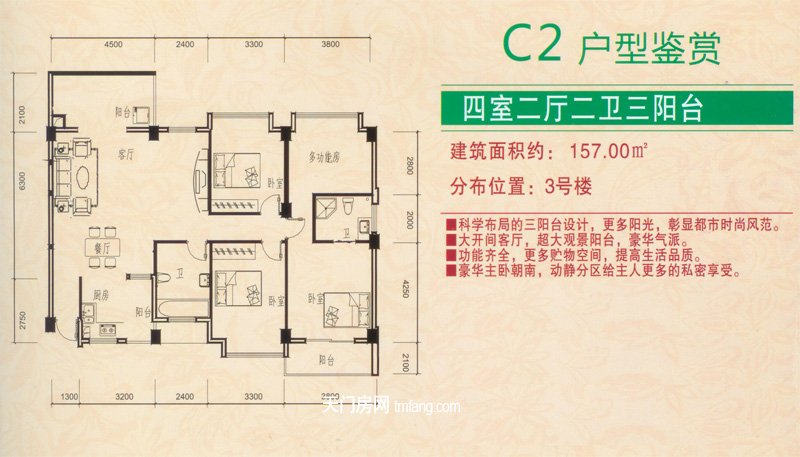 仁信·南洋星城C2户型鉴赏