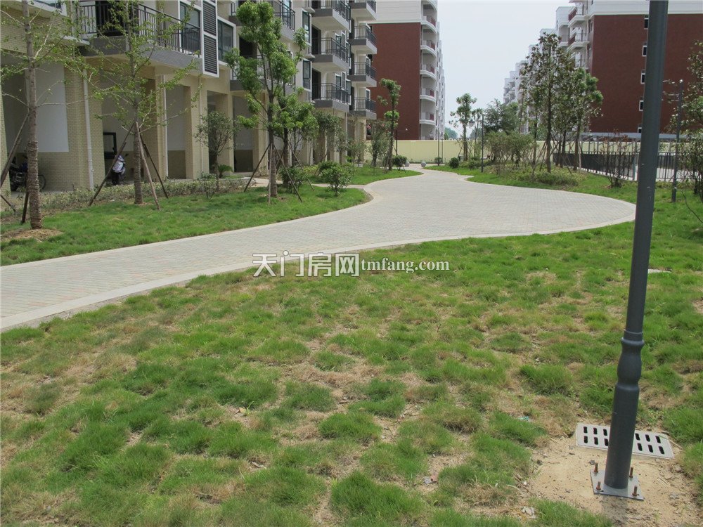 小区实景