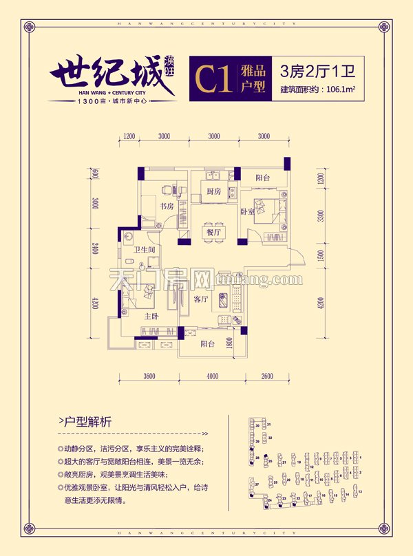 汉旺·世纪城C1 雅品户型