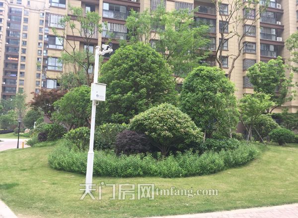小区绿化3.jpg