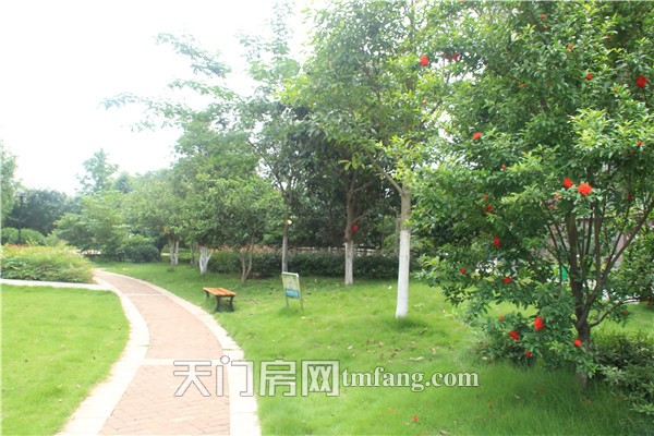 天太热？不怕 找一个绿色宜居楼盘避暑吧