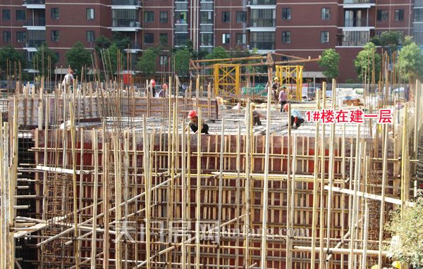 东湖中央公馆10月工程进度：3#楼建至第10层